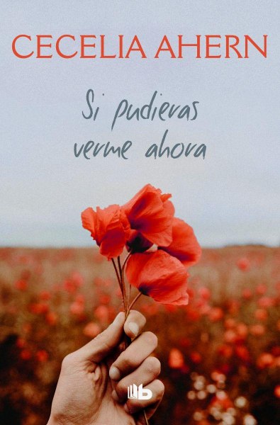 Si Pudieras Verme Ahora