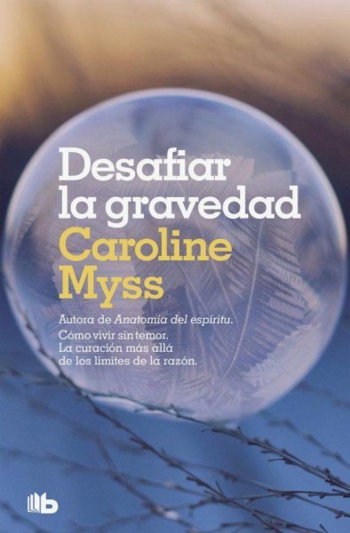 Desafiar La Gravedad