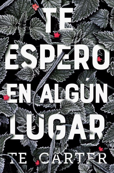 Te Espero En Algun Lugar