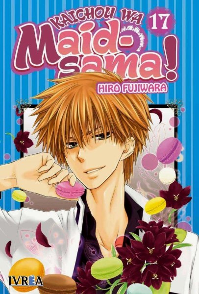 Maid Sama 17
