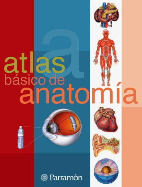 Atlas Basico De Anatomia