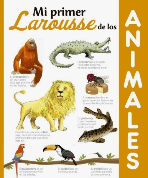 Mi Primer Larousse De Animales