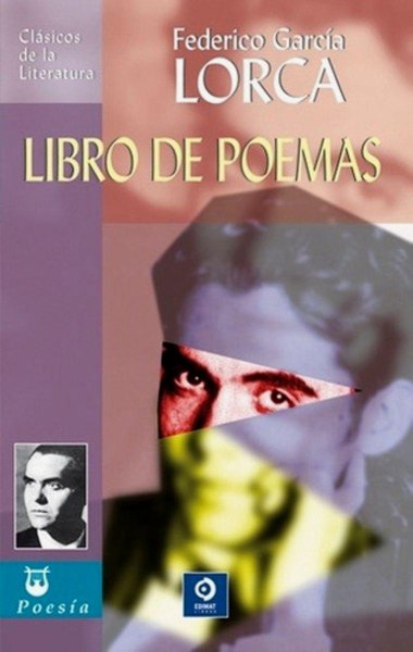 Libro De Poemas