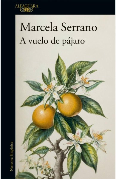 A Vuelo De Pajaro