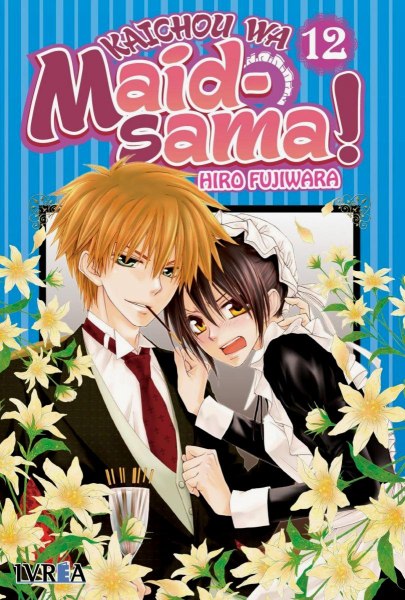 Maid Sama 12